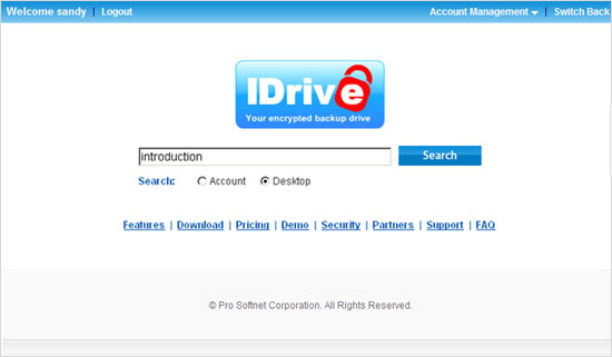Web based search
