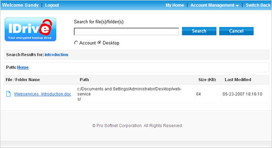 Web based search