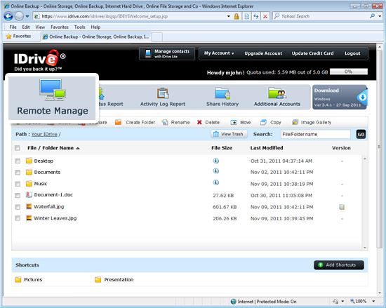 Web-based online backup management