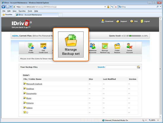 Web-based online backup management
