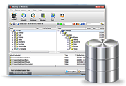 Database Online Backup